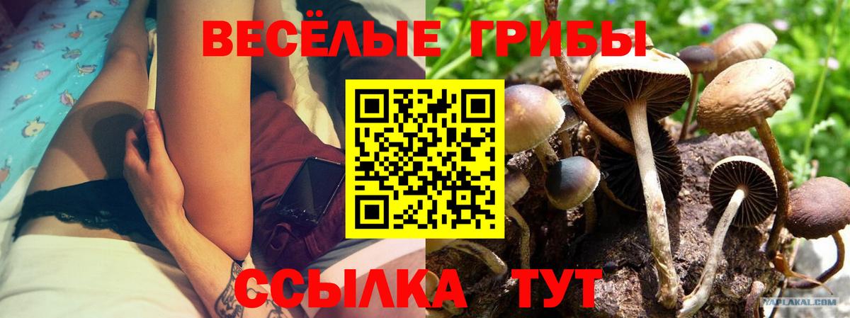 Химки  закладки  Вход с VPN  Псилоцибиновые грибы прущие грибы 